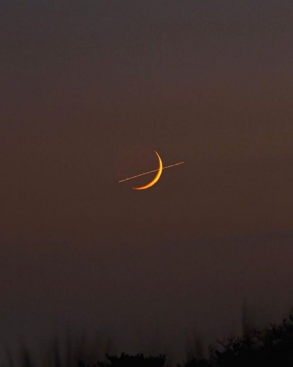 M1ONLOVER's tweet image. Love you 🌙