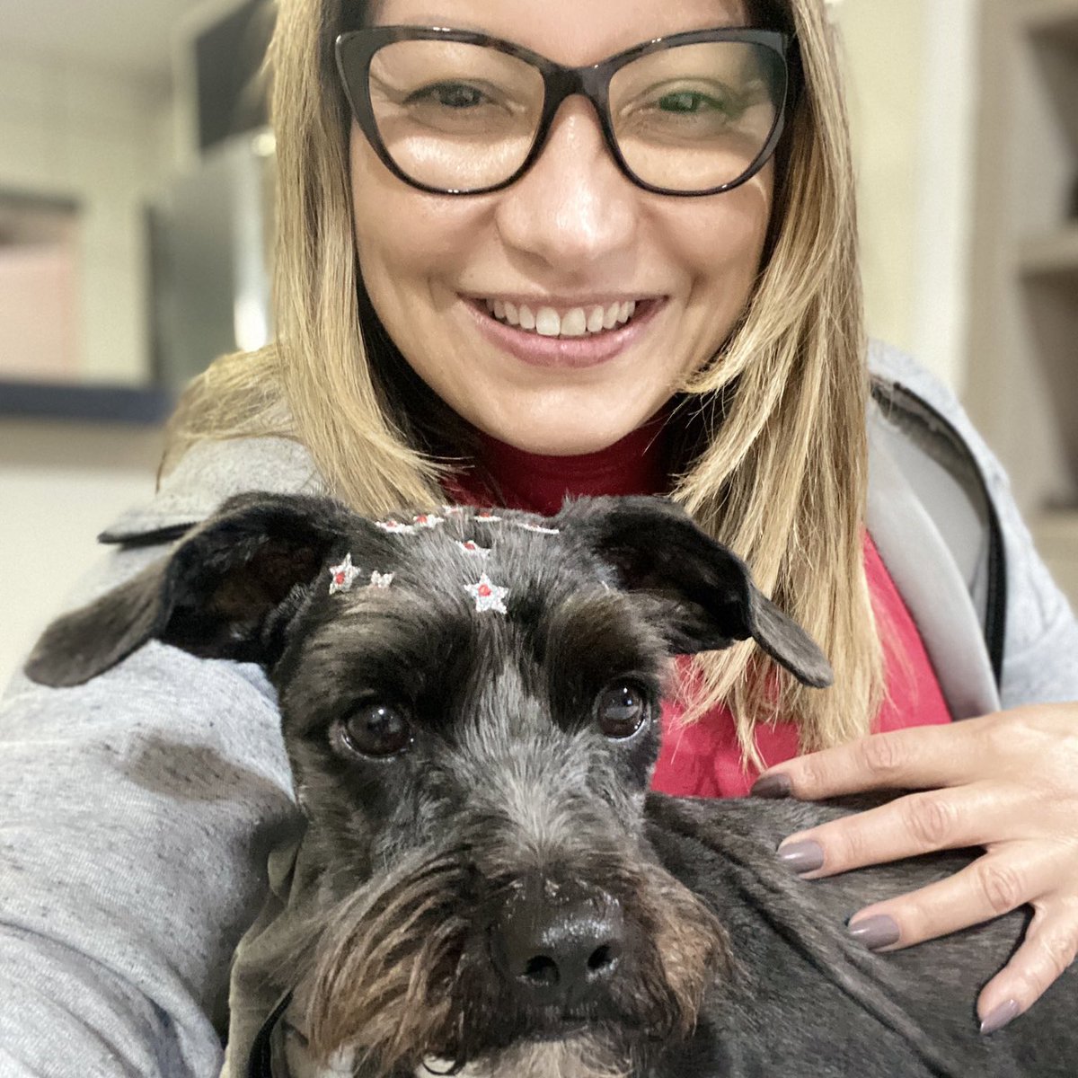 choquei's tweet photo. 🚨AGORA: Resistência, cachorra adotada por Janja enquanto Lula estava preso, chega em Brasília para subir junto com o presidente eleito na rampa do Planalto. 

Será a segunda vez que um animal participa de uma cerimônia de posse. A primeira vez foi no dia 1 de janeiro de 2019. https://t.co/bvLCecpZBE