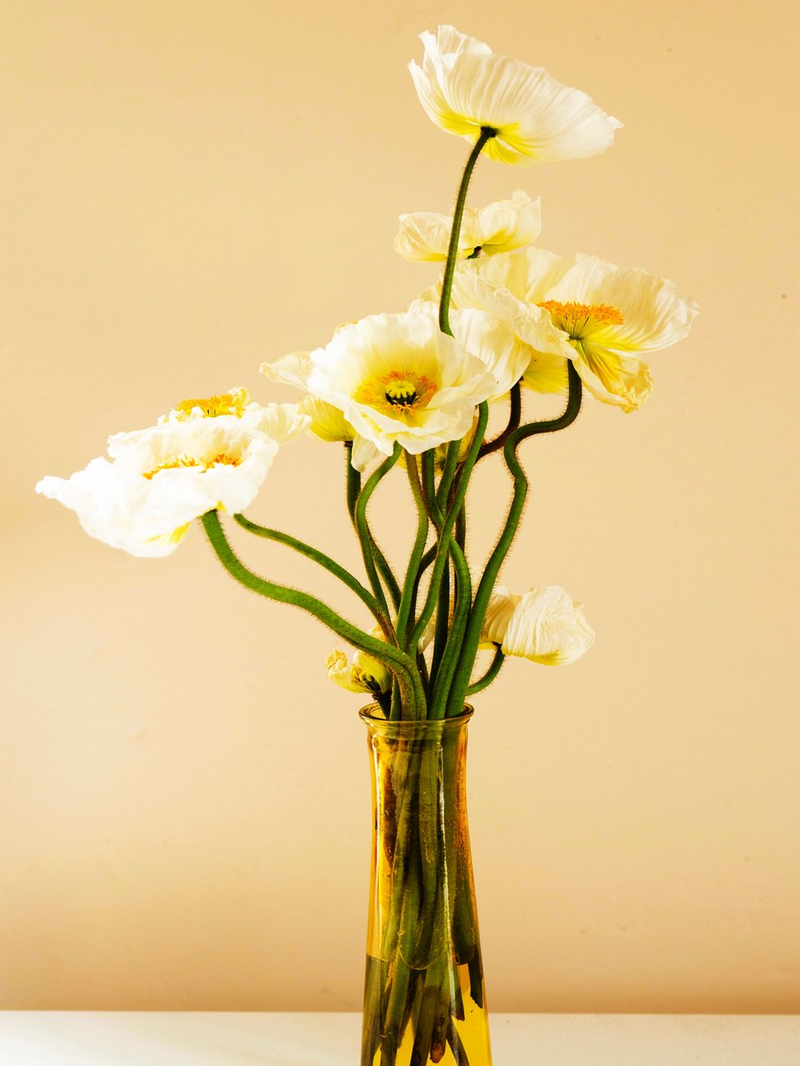 Good morning #WritingCommunity 🖤

Let's start the day with a #writerslift 

Drop the links to your #books, #blogs, #poetry, #art, #websites, or anything else you want to share

RT others to spread the love
🖤🖤🖤