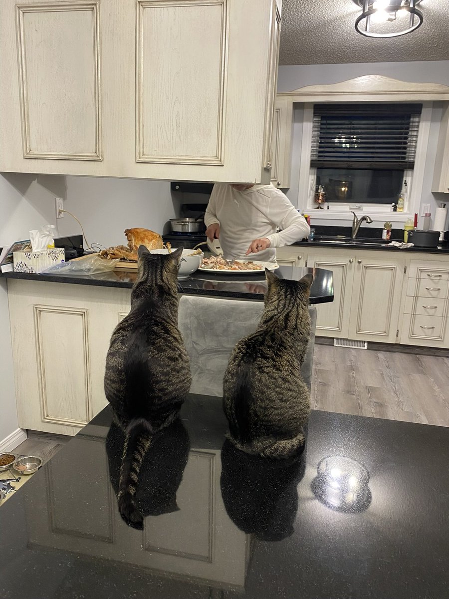Hank and Lola have a front row seat as I carve the Turkey!
#hanknlola