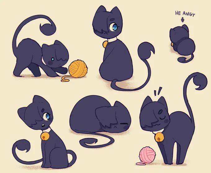 and a little bonus Velo cat form  