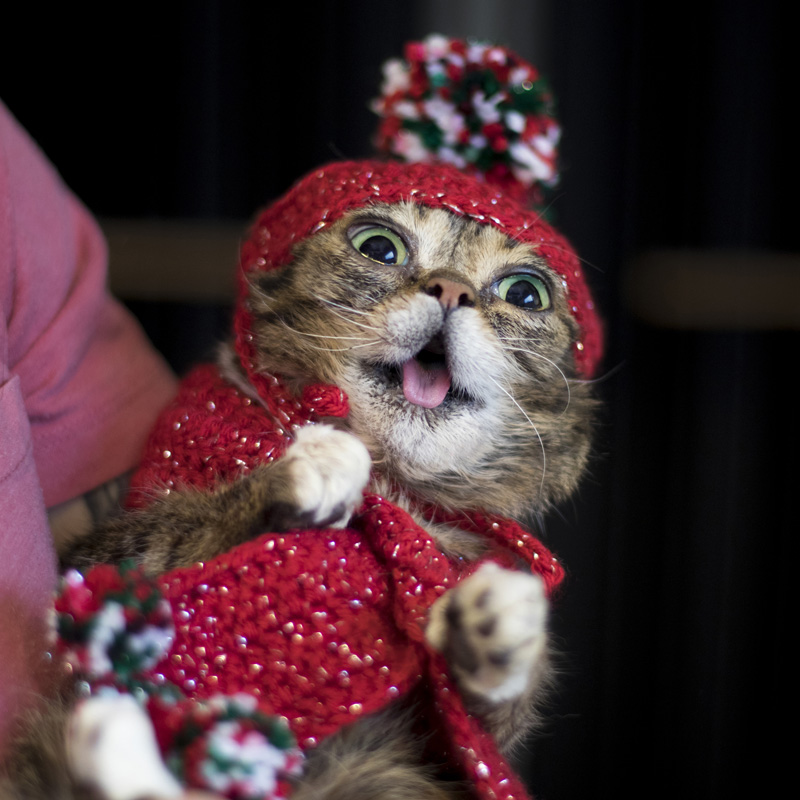 BUB's 2022 Clearance Sale is 35-80% Off Everything - mailchi.mp/lilbub/bubs-20…