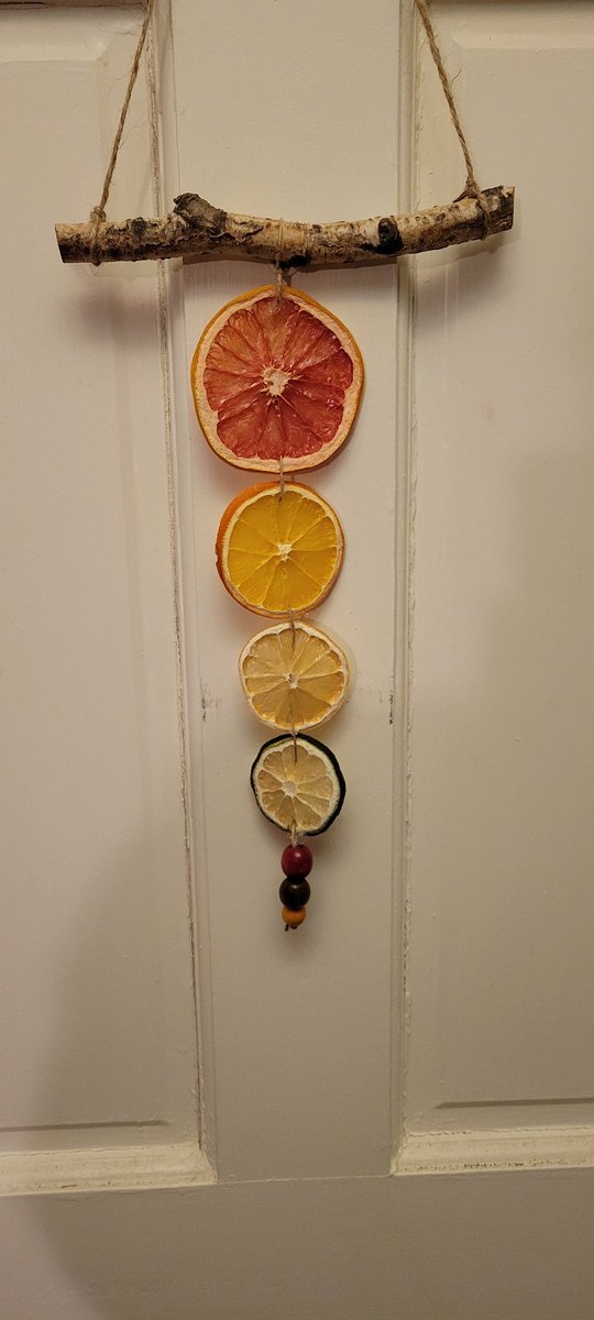 tarabyte3's tweet photo. My mom is difficult to buy for so I have been hand making her gifts the past few years. This year I made a wreath and a dried citrus sun catcher. I'm kind of in love with them. https://t.co/OKbHbmQRTK