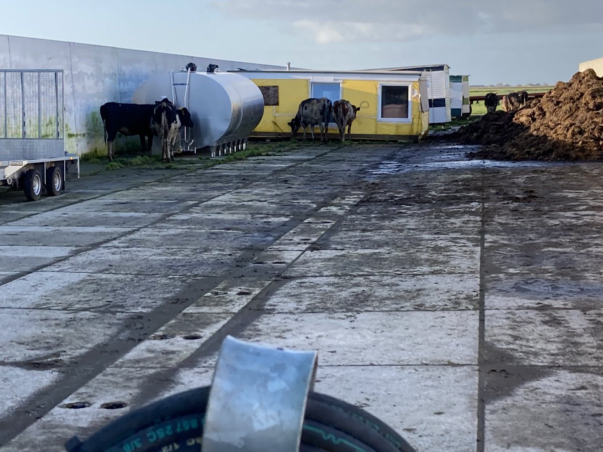 Vanmiddag grote brand in follega samen met brw Lemmer stnicolaasga hoogwerker <a href="/Brw_Heerenveen/">Brandweer Heerenveen</a> en groot watertransport <a href="/Brandweer_Joure/">Brandweer Joure</a> woonhuis behouden en alle 10 pinken levend er uit gekregen.