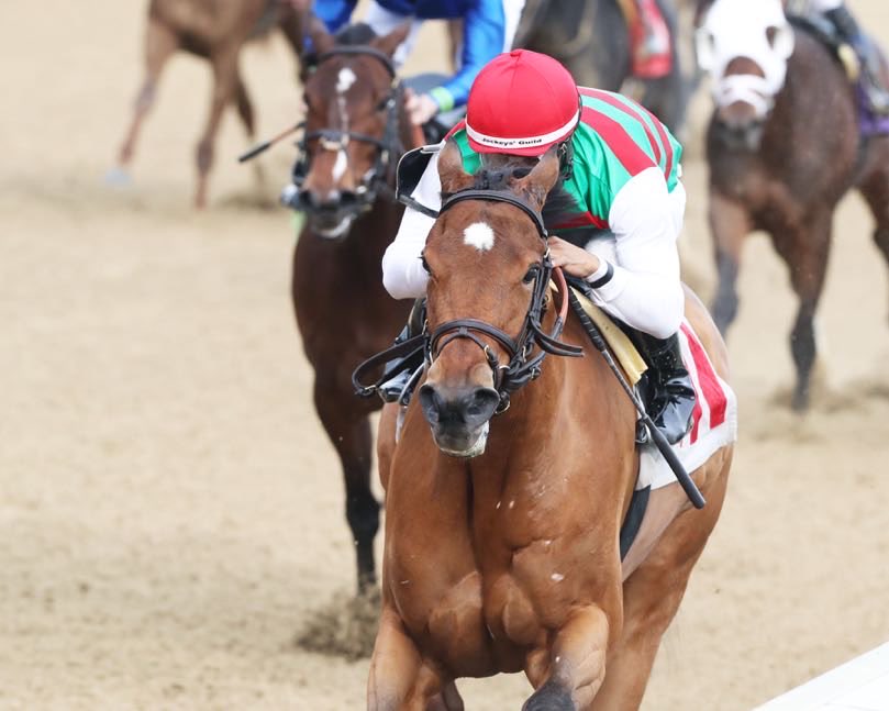 BelladonnaRaci1's tweet image. VAHVA makes her stakes debut as ML 2nd-choice in today’s $100K Untapable S. ⁦@fairgroundsnola⁩ (race 12, 6:30 pm ET). She is #4 of 10 fillies going a mile and 70 yards and ⁦@luissaezpty⁩ has the return call. Best of luck to our partners and Team ⁦@reredevaux⁩.