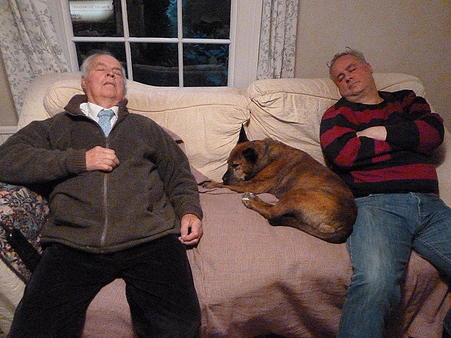 When my Dad came in off the farm for his lunch he'd be able to fall asleep for a nap within 20 seconds. I was so jealous of him.

And now I can do it too!

The things that come with age...