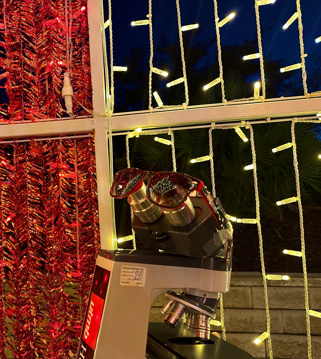 UTMB_Pathology's tweet photo. @MoodyGardens Festival of Lights is a mile long trail with over two million lights and lighted attractions! Concession stands with treats and warm beverages can be found throughout. #PathTwitter #PathMatch2023 #MollyTheMicroscope https://t.co/zpgGqsdsAq