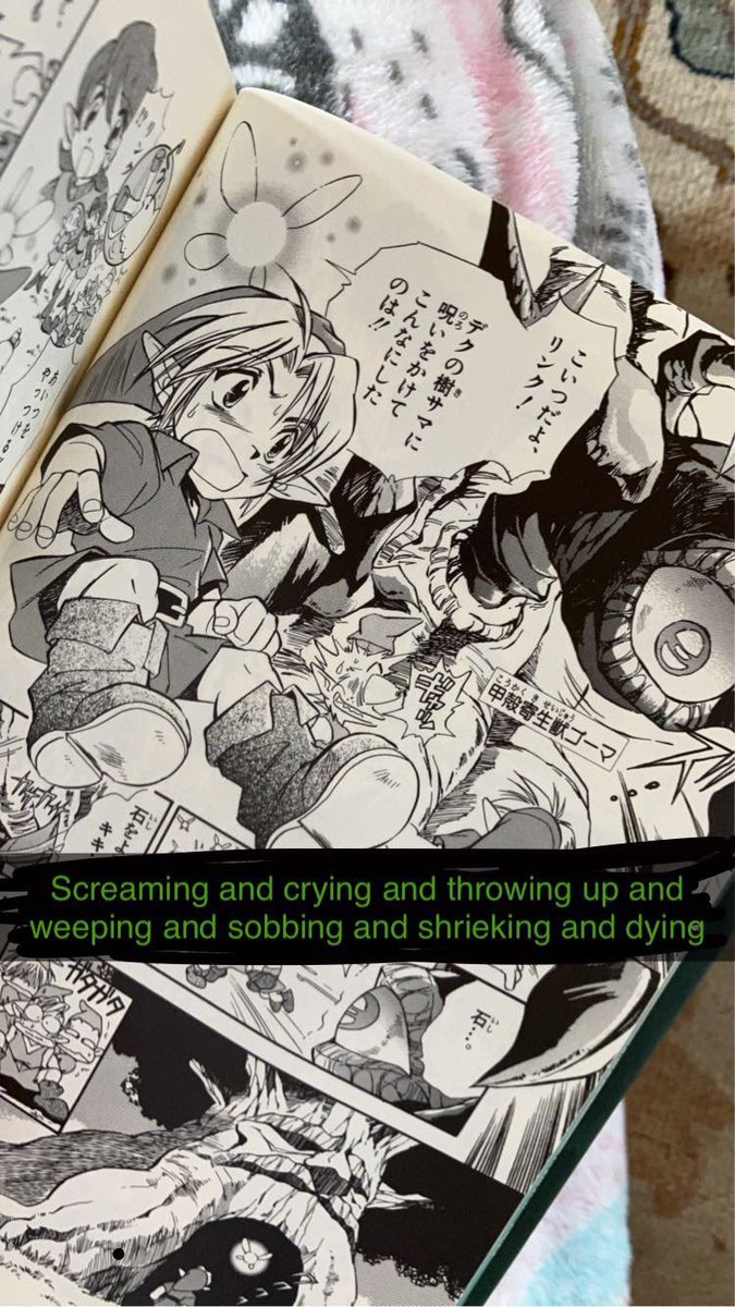 the book's okay 