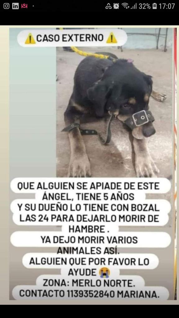 Chic@s Argentina a ver los contactos 🙏
😢 🆘 📢 📢 📢 📢 📢 📢