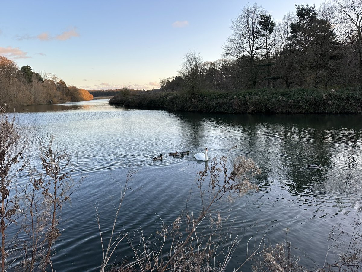 Japester47's tweet photo. Lovely Boxing Day walk at @NTClumberPark https://t.co/OMe8pXATBN