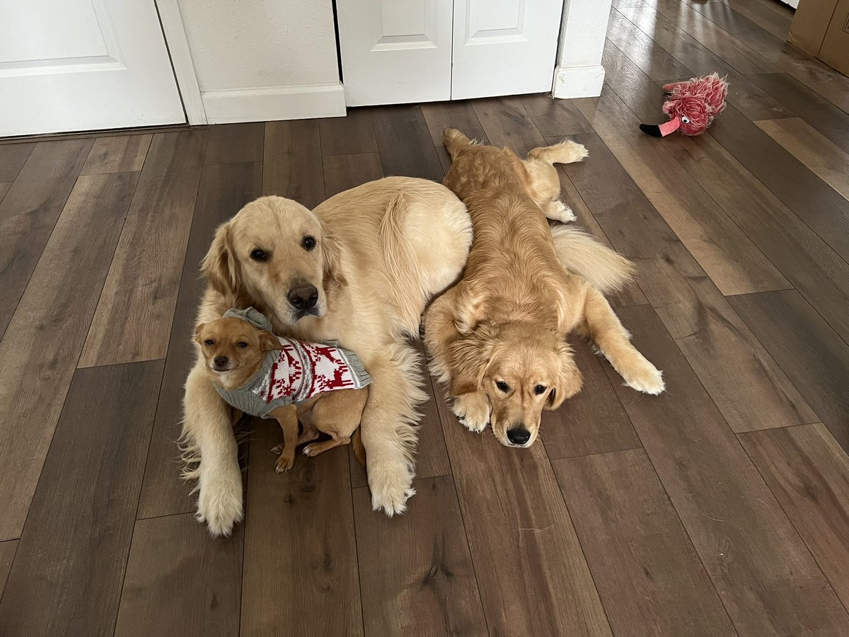 Michelle Patrick Olivarez tweet media