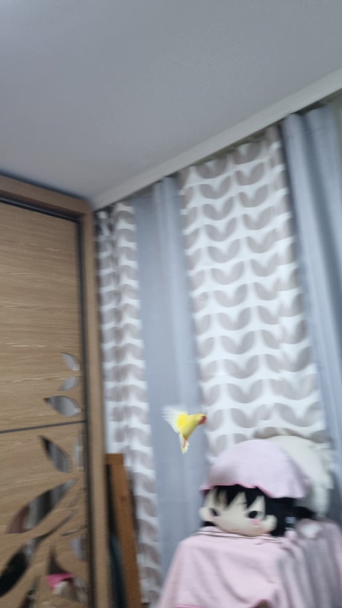 Minky_kun's tweet photo. https://t.co/QtdwFzBgL5