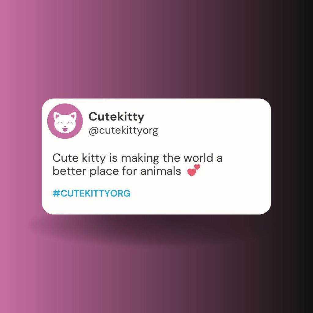 cutekittyorg's tweet photo. It's all about finding a problem that needs to be solved, and actually using your product to help solve it. - Elon Musk
.
.
.
.
.
.
#helpcat #catloversworld #cryptocurrencyrevolution #animalshelters #blockchainrevolution #cutekitty #cutekittyorg #cutekit… https://t.co/Wc41bGup1U https://t.co/jZw0humcgs