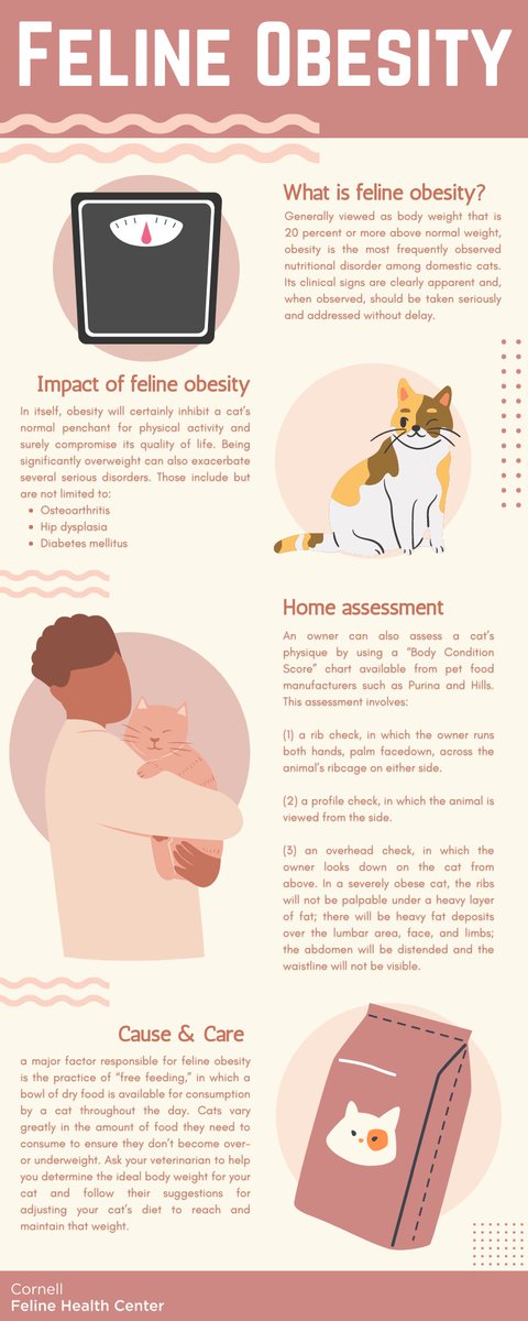 Cornell Feline Health Center tweet media