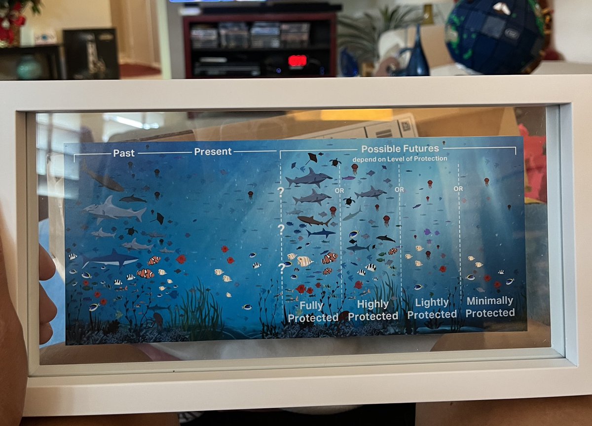 deepseadawn's tweet image. THANK YOU also to @_jsullivanstack @Kirsten_GC @JaneLubchenco and the #MPAGuide community: my own version, framed🖼️ in glass!! 🤩 

cc @TaotaoTasi @JaneLubchenco46