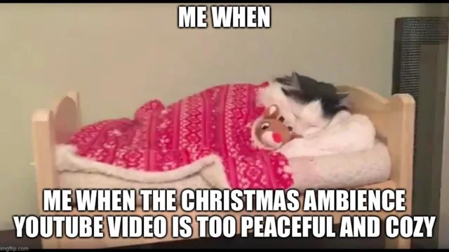 CharlotteENVT's tweet image. IM LIVE DROPS! COME CHILL (link below)