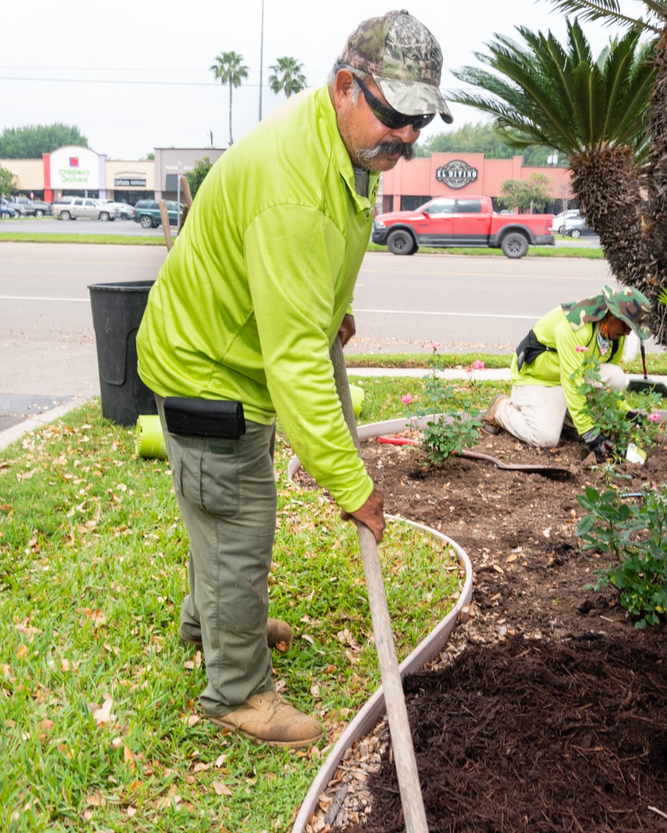 You know, the grass doesn't always have to be greener on the other side! Give us a call at (956) 478-6673 so we can discuss your options. #TAndTPalmsTreesAndMore