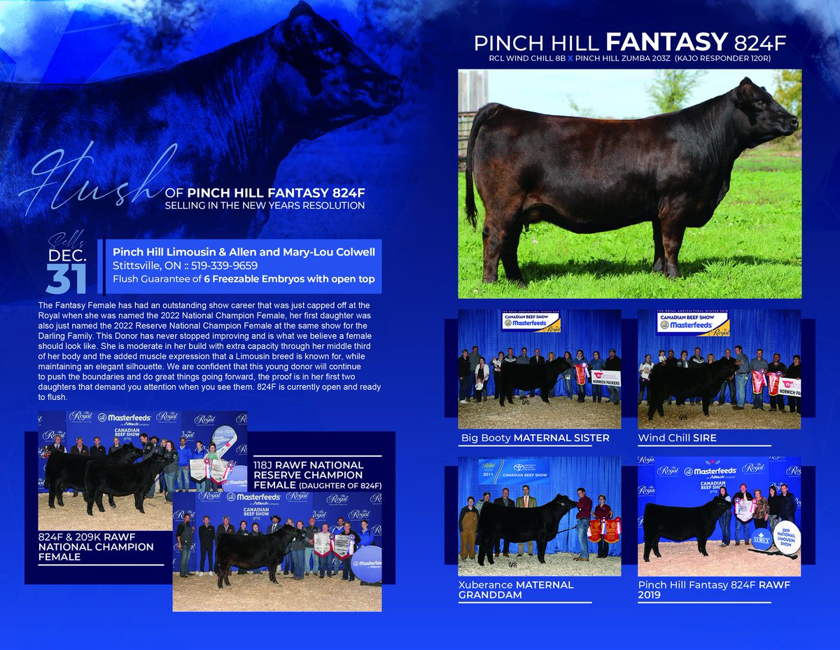 Check out the unique opportunity for the Right to Flush the 2022 National Champion Limousin Female on Dec 31, 2022 in the New Years Resolution Sale. Bidding available on DLMS.ca of contact <a href="/Bohrson/">Bohrson Marketing</a> staff for details. <a href="/CDNLimousin/">Canadian Limousin</a> <a href="/limousincattle/">N. American Limousin</a>