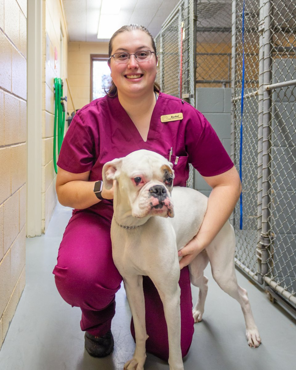Phelps Veterinary Hospital tweet media