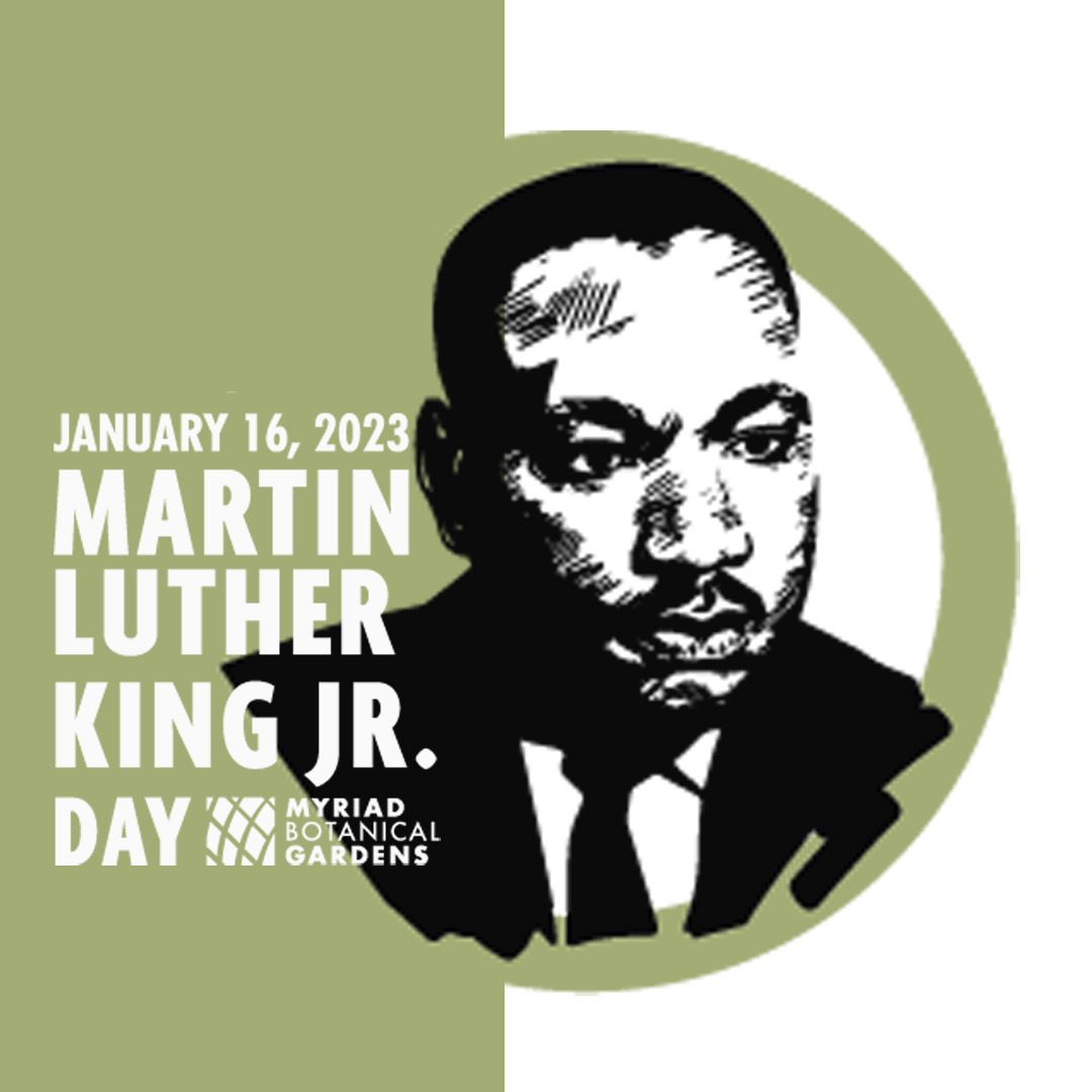 𝐌𝐲𝐫𝐢𝐚𝐝 𝐁𝐨𝐭𝐚𝐧𝐢𝐜𝐚𝐥 𝐆𝐚𝐫𝐝𝐞𝐧𝐬 tweet media