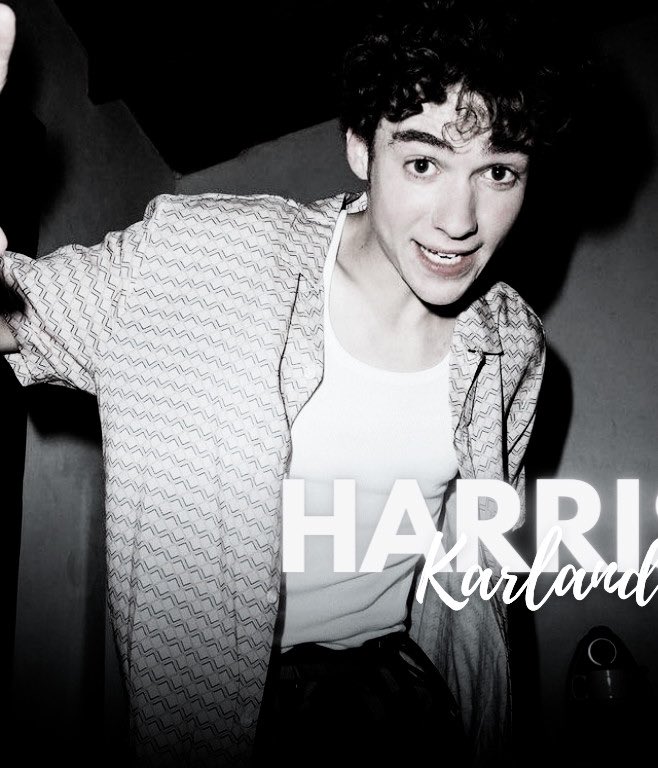 𝒇alconry camp. CERRADO. tweet media