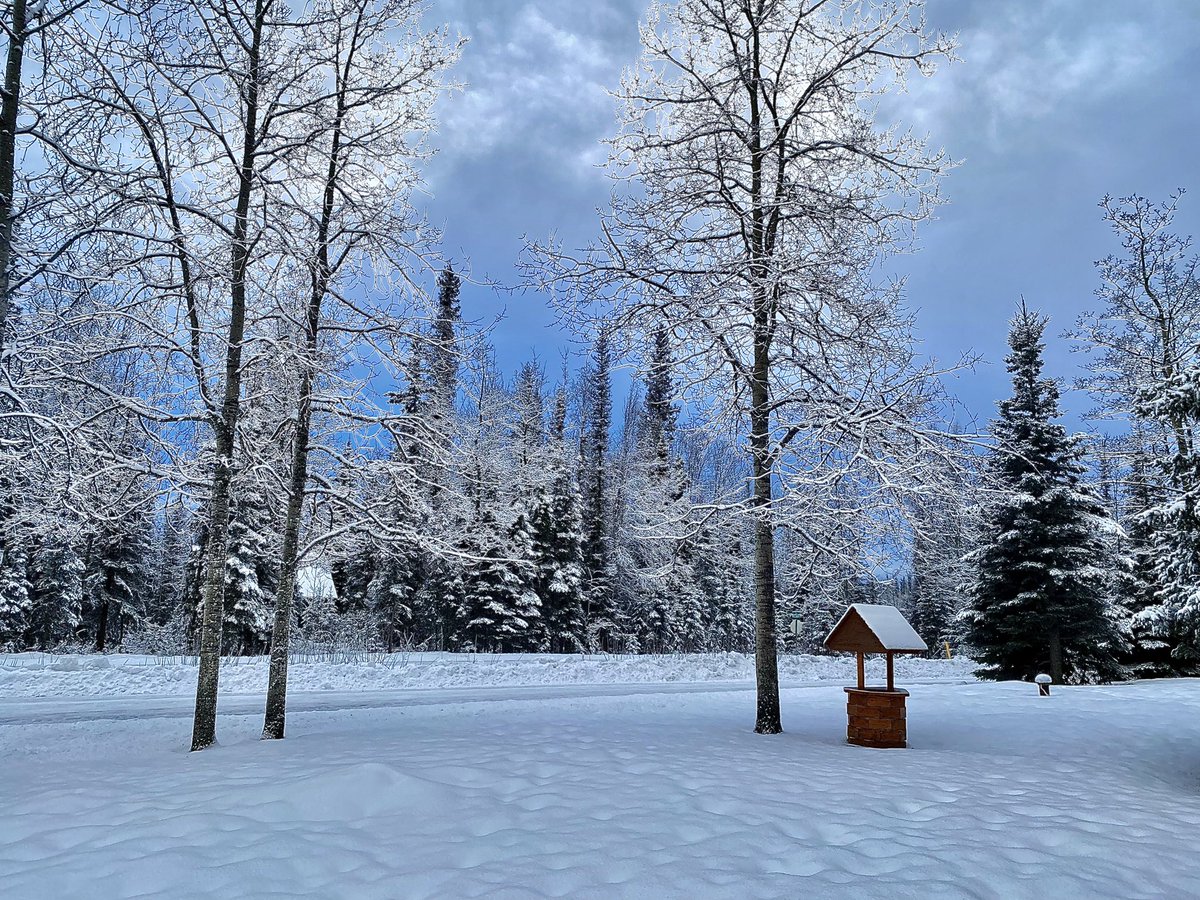 Katie Kier tweet media