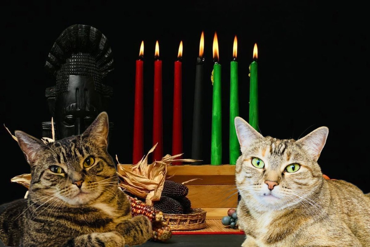 🇨🇦🍁Jonathan McKenna😽 on Twitter "RT HazelandRemy Happy Boxing Day