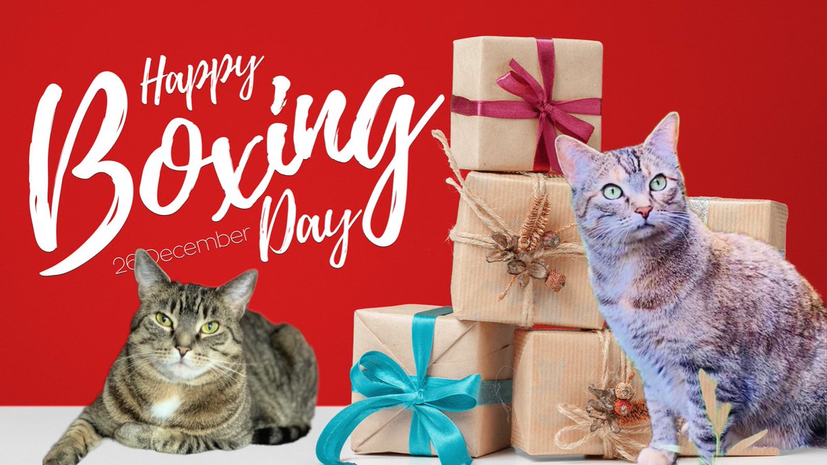 🇨🇦🍁Jonathan McKenna😽 on Twitter "RT HazelandRemy Happy Boxing Day