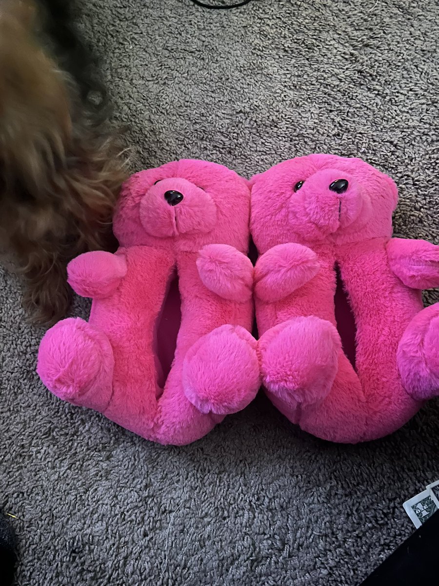 BegLadyFury's tweet photo. I got these for christmas &amp; I LOVE but they make my feet so hot 🥵 Who wants to be a good boy &amp; let me rub my sweaty feet all over their face &amp; body? 🥰🥰

femdom footslave findom feetfetish ebonydomme https://t.co/NerL7jE2h3
