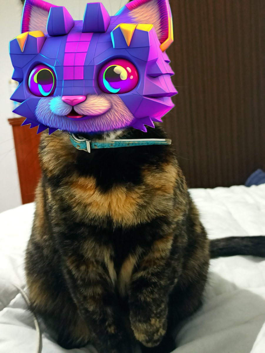 stepnpato's tweet image. My 3D cube head cat 🥰🥰
@Magichappens22 @mooarofficial
