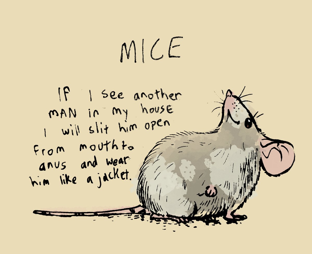 Rats and mice, know the difference