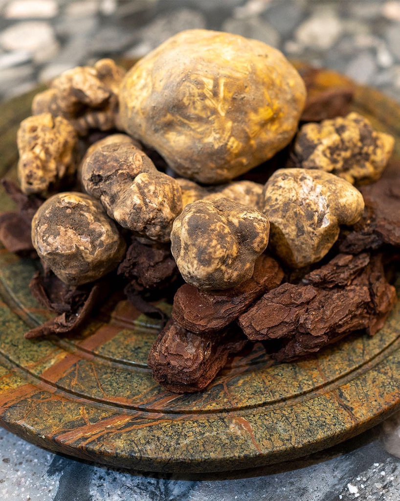 Italian winter truffle season, Chef’s dream come true…