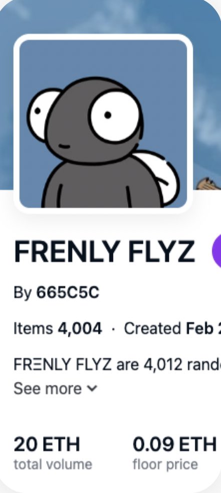 FrenlyFlyz's tweet photo. The @FrenlyFlyz was never the next big NFT project. We minted Feb2022 to little fanfare. Hovered to 0.01 and down to decimal abyss.

So today is a milestone. Peak 0.09 floor. Maybe a small thing for others. But we wish to celebrate with our tight-knit Swarm to highlight 2022 🧵1 https://t.co/neg9agbwUM
