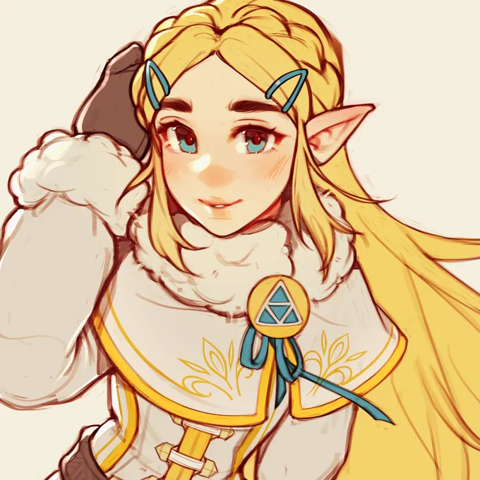 Winter Zelda (Breath of the Wild)  Close-up 