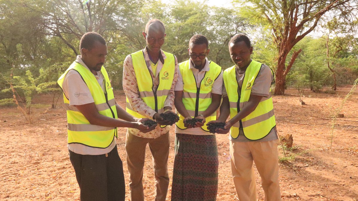 Husika_Alliance's tweet photo. 🚨Seedballs Dispersal 🚨
Building resilience for Sustainable Future requires creativity and regenerative community-centered approach.
Let us join hands in curbing Climate change!#ClimateActionCampaign! https://t.co/ASqIQWIPsS