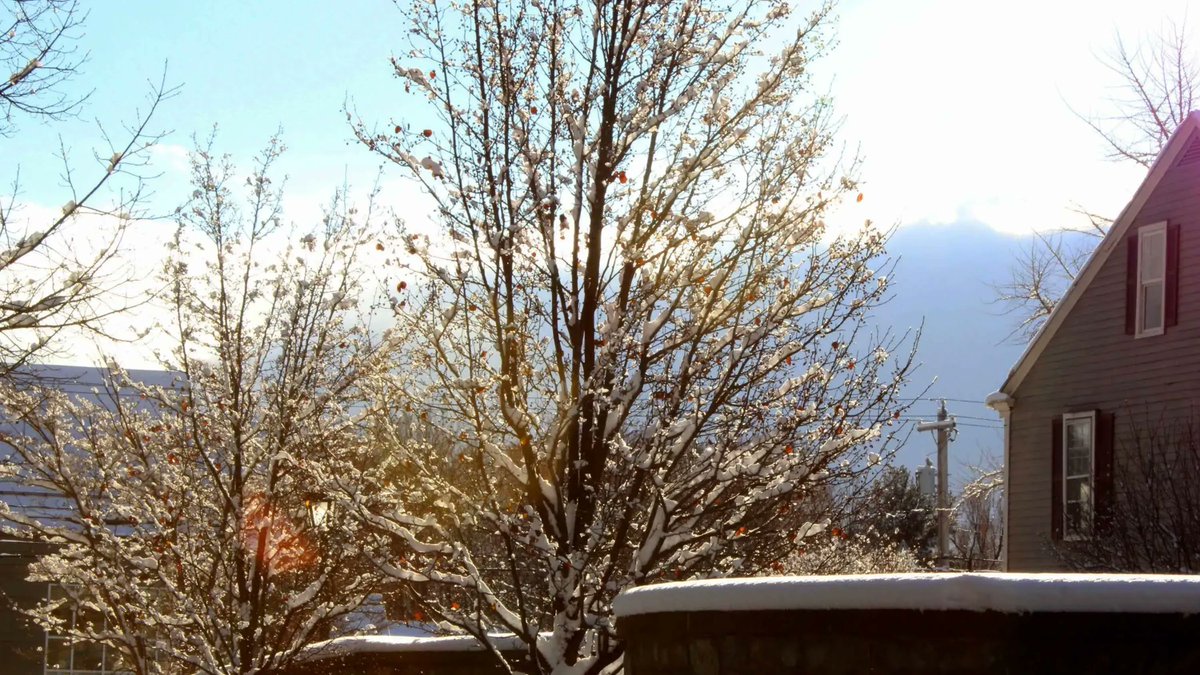 HamiltonCollege's tweet photo. Your financial support helps fund key projects to improve the campus and student experiences. Please make your gift to Hamilton today: https://t.co/UYEHMf2Mbp (Photo by Sophie Christensen '24)
#KnowThyself #BecauseHamilton #OurBeautifulCampus https://t.co/xNL8trxwA0
