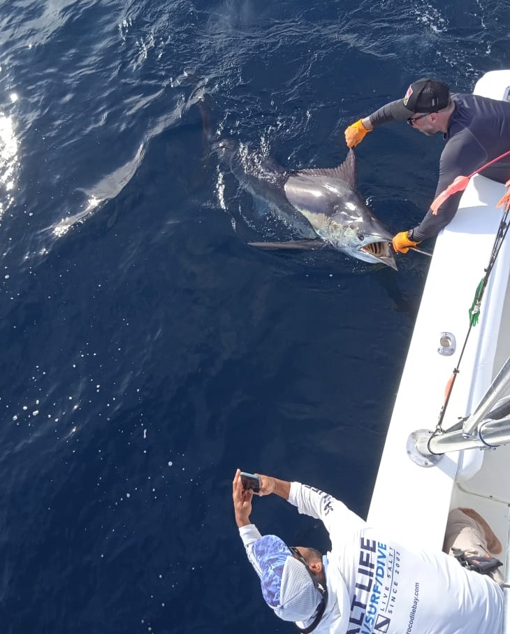 crocodilebay's tweet photo. Fernie Group for the win.
#fishinglife #fishingtrip #fishingislife #fishingaddict #crocodilebay #fishingadventures #fishingexpedition #realsaltlife #penn #bostonwhaler https://t.co/HPhsqNrdAD