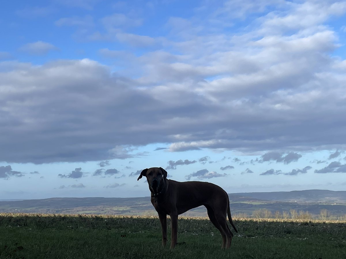 Richard Betts tweet media