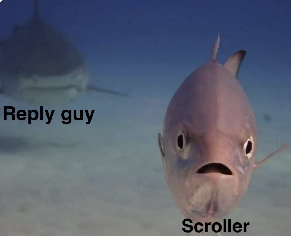 Travladd Crypto 𐤊 tweet media