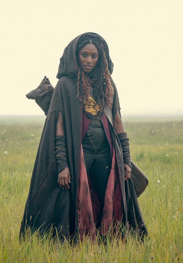 LoAnne_87's tweet photo. I see this hairstyle in my future #BloodOrigin #thewhitcher https://t.co/CRptnfN4kQ