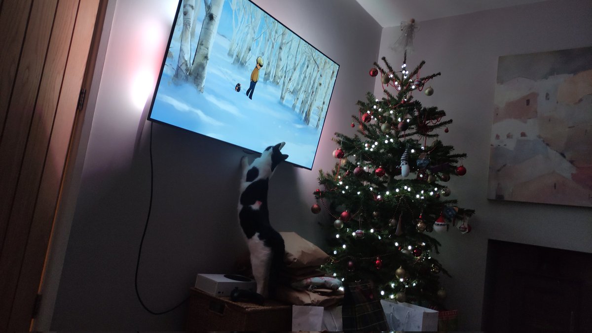 kcoates1981's tweet photo. @charliemackesy we all loved The Boy, The Mole, The Fox and The Horse, especially Floyd the cat who couldn't take his eyes (or paws) off of it from start to finish!!! https://t.co/MYwtZCBOWK