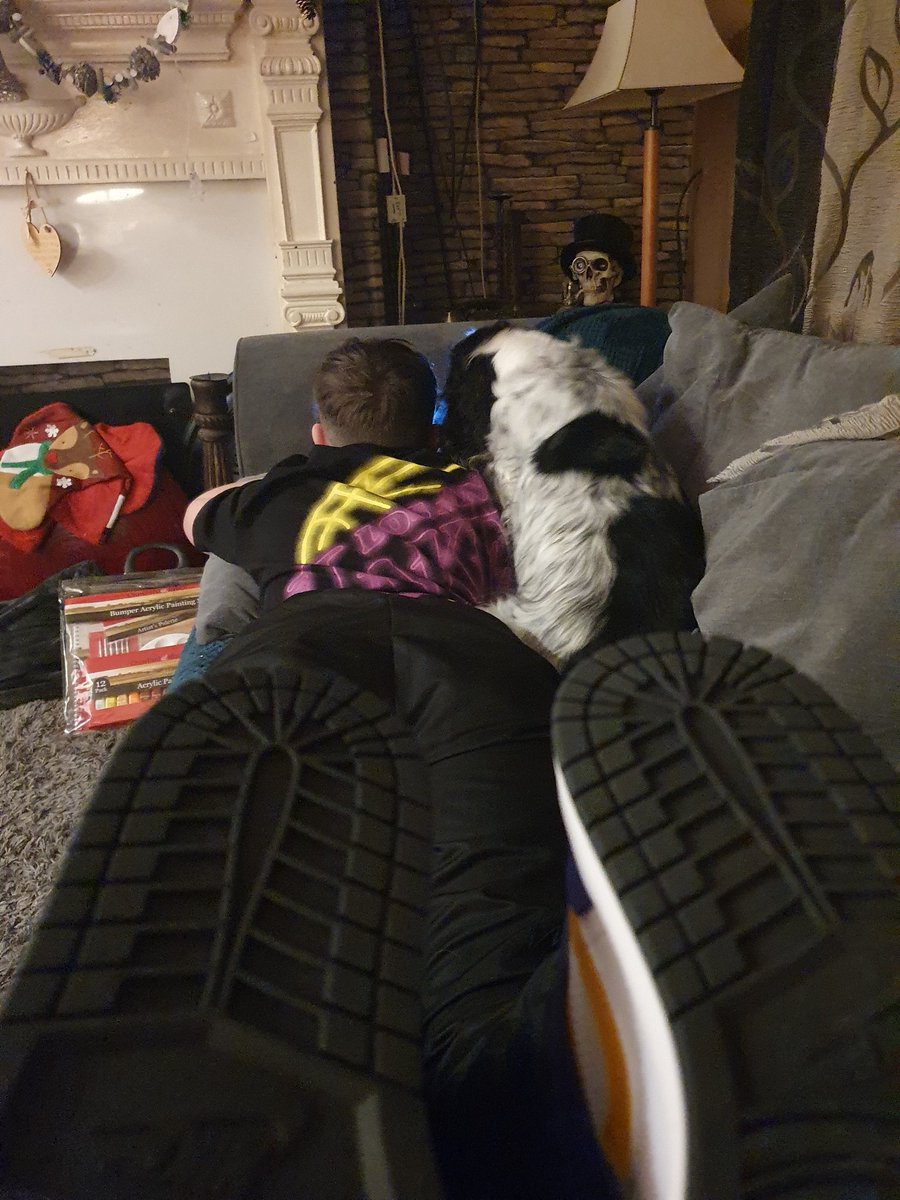 AriaCocker's tweet photo. I is watching #funnycats on #Jamies new phone https://t.co/tckfuknZVf