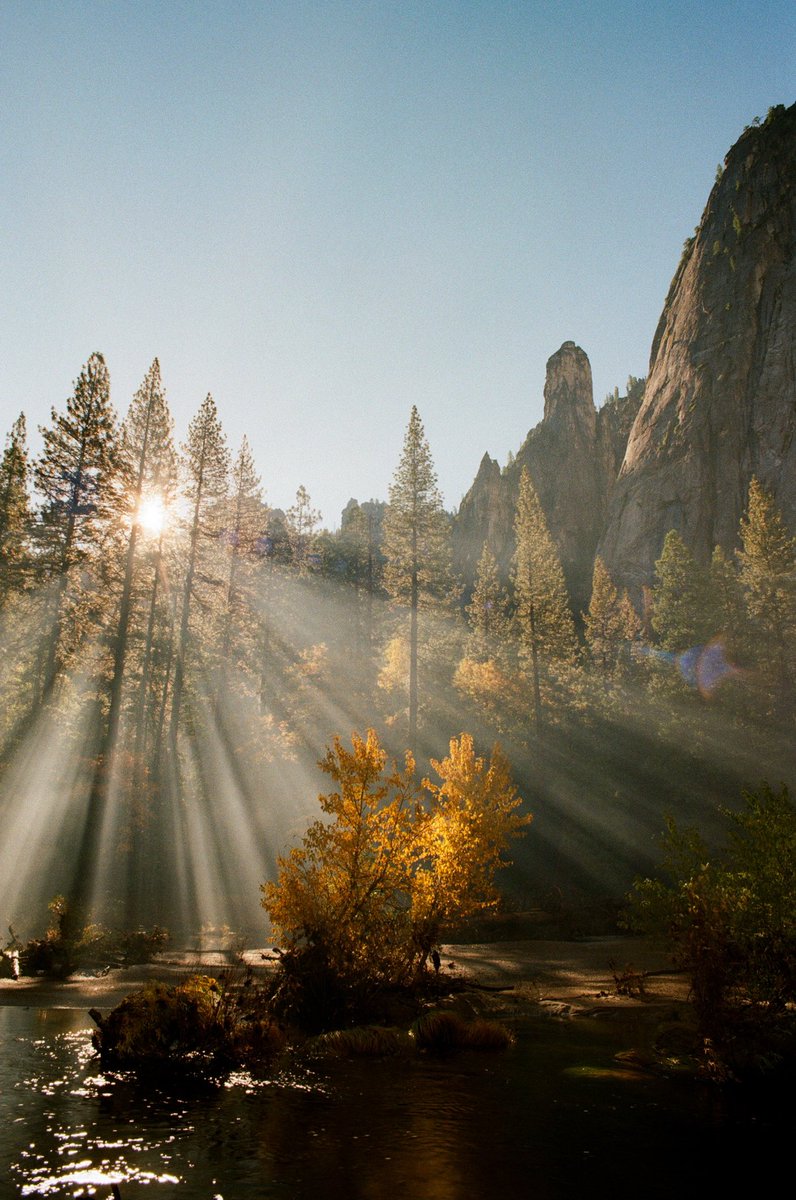 James Piper tweet media