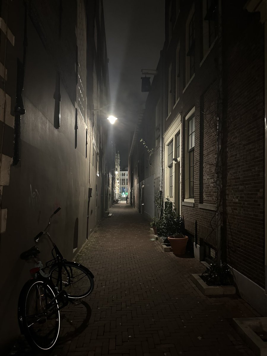 reeceaim's tweet image. Chronicles of Amsterdam.