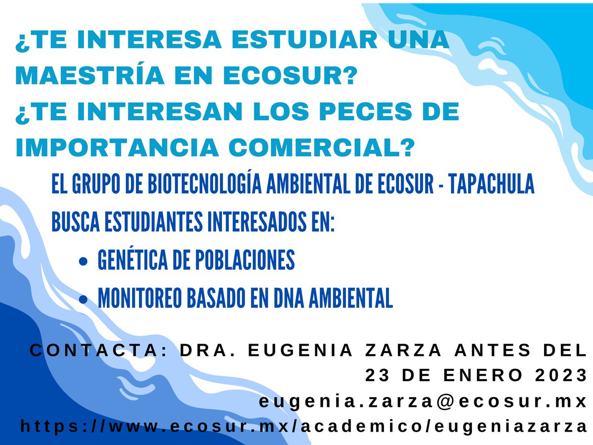 EugeniaZarza's tweet photo. Si alguien está interesada/o en hacer una maestría o conocen a alguien, la convocatoria de ECOSUR se encuentra abierta y hay oportunidad de realizar el trabajo de investigación conmigo. Agradezco si me ayudan a difundir. https://t.co/4a0texLv2V