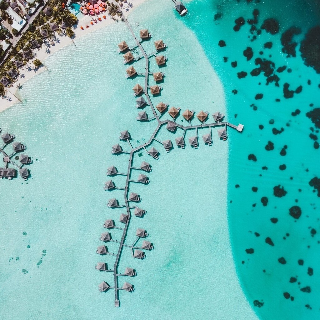 IC French Polynesia tweet media