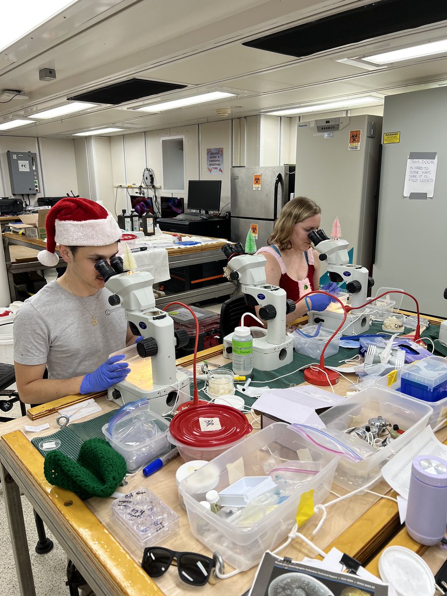 Merry Shipmas! Science didn’t stop for the holidays but we made sure to make it festive! 

Thank you to the scientists and crew aboard <a href="/RVAtlantis/">Research Vessel Atlantis</a> for great food and events, making this a Christmas to remember!

#biofilms4larvae #nsffunded