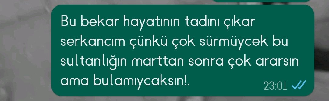 Manita bensiz gezmeye çıkınca benim tribal enfeksiyonun ortama yansıyışı 😅