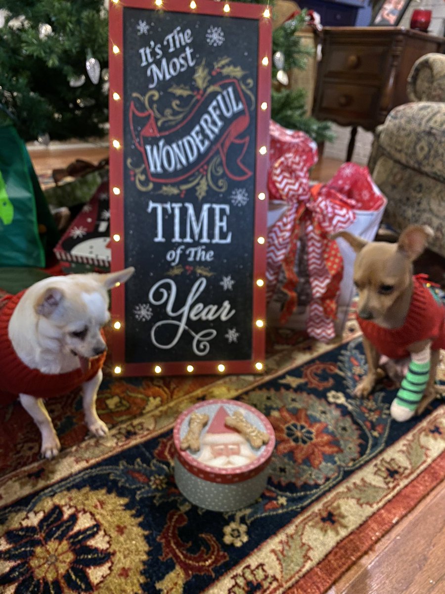 spotspot's tweet photo. Merry Christmas from Taylor Swift and Kevin Hartโฅ๏ธ! #Chihuahuas #DogsofTwittter #dogsofinstagram
#TaylorSwift #TSwift #KEVIN #KevinHart #kevinhart4real #KHart https://t.co/kXOe5WJdEb