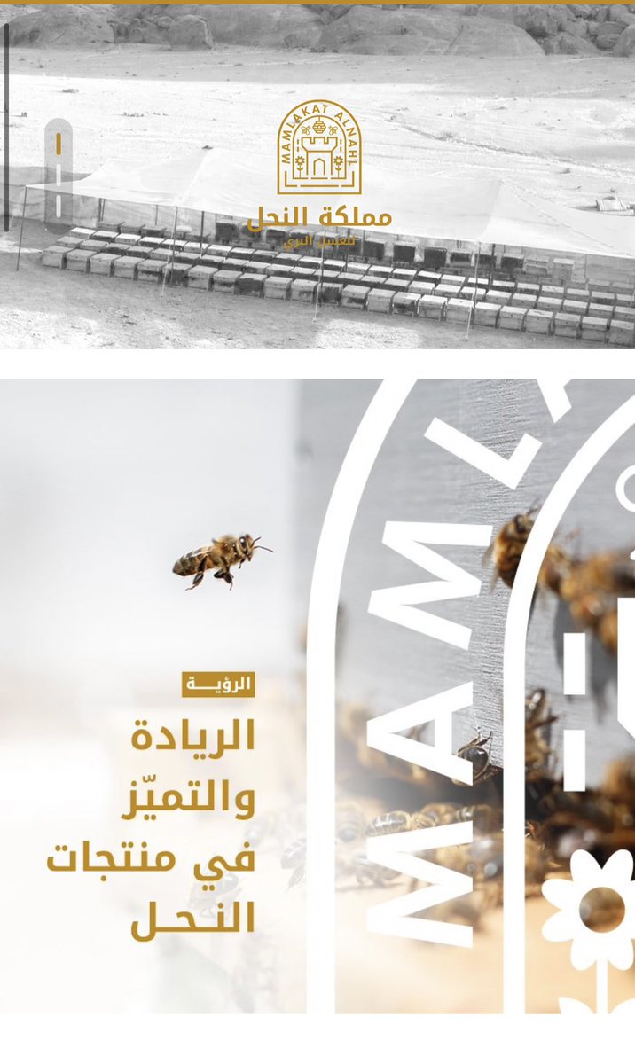 جميع منتجاتنا من الاعسال البريه والزراعيه متوفره بمتجرنا الالكتروني  kdbees.com